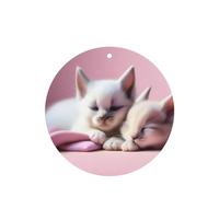 Ambientadores de coche con diseño de dos gatitos durmientes, 4 unidades, forma redonda, para colgar en tabletas de aromaterapia, ambientadores perfumados para dormitorio y baño