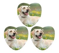 Ambientadores de coche con diseño de perro Labrador Retriever, 3 piezas