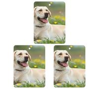 Ambientadores de coche con diseño de perro Labrador Retriever, 3 piezas
