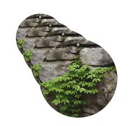 Ambientadores de coche con diseño de plantas en un muro de piedra, 4 unidades, redondos, colgantes, con tarjetas aromáticas y pastillas para espejo retrovisor.