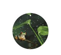 Ambientadores de coche con diseño de rana de árbol de la paz, 10 unidades, para hojas colgantes perfumadas para baño, con cuerda