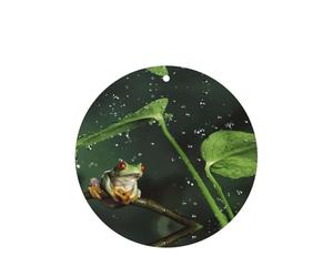 Ambientadores de coche con diseño de rana de árbol de la paz, 10 unidades, para hojas colgantes perfumadas para baño, con cuerda
