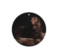 Ambientadores de coche con impresión de labrador marrón, 10 unidades, para hojas colgantes perfumadas para baño, con cuerda