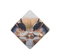 Ambientadores de coche con patrón de bestia puntiaguda, 6 unidades, cuadrados, para colgar en tabletas de aromaterapia, ambientadores perfumados para dormitorio y baño