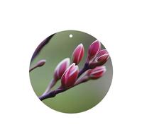 Ambientadores de coche con patrón de capullos de primavera, 4 unidades, forma redonda, para colgar, tabletas de aromaterapia, ambientadores perfumados para dormitorio y baño