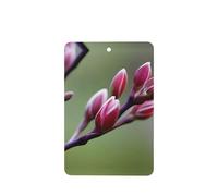 Ambientadores de coche con patrón de capullos de primavera, 6 unidades, rectangulares colgantes, tabletas de aromaterapia, ambientadores perfumados para dormitorio y baño