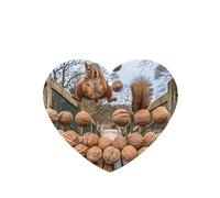 Ambientadores de coche con patrón de nueces de ardilla, 6 unidades, pastillas de aromaterapia colgantes en forma de corazón, ambientadores perfumados para dormitorio y baño