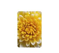 Ambientadores de coche con pétalos de crisantemo amarillos y blancos, 4 tarjetas perfumadas colgantes, tarjetas perfumadas para coche, tabletas de aromaterapia