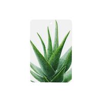 Ambientadores de coche con plantas de cactus de aloe vera, acuarela, 4 unidades, tarjetas perfumadas colgantes, tarjetas perfumadas para coche, tabletas de aromaterapia
