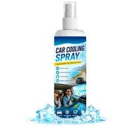 Ambientadores en espray para coche, 100 ml, vaporizador portátil, fragancia | Con poder neutralizador de olores, aroma de larga duración, tamaño de viaje compacto, actualización rápida para barco, playa