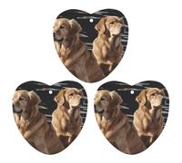 Ambientadores para coche de larga duración con imagen impresa Golden Retrievers