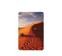 Ambientadores para coche del desierto, 6 unidades, divertidos ambientadores colgantes para coche, lindos y duraderos con aroma a espejo, adornos de decoración para regalo de interiores, accesorios