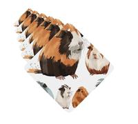 Ambientadores para coche, juego de 6 tarjetas perfumadas cuadradas para colgar, ilustración de conejillo de indias, ambientador para coche, espejo retrovisor, tarjeta perfumada para coche