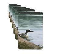 Ambientadores para coche, juego de 6 tarjetas perfumadas rectangulares para colgar, diseño de pájaros de la naturaleza, ambientador para coche, espejo retrovisor, colgante de tarjeta perfumada para