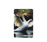 Ambientadores rectangulares para coche, patrón de baile de cisne, 6 unidades, tabletas de aromaterapia para coche, armario de zapatos, elimina olores