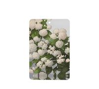 Ambientadores rectangulares para coche, patrón Viburnum Blackhaw, 6 unidades, tabletas de aromaterapia para coche, armario de zapatos, elimina olores
