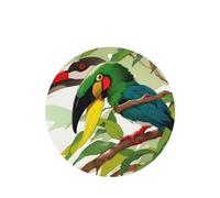 Ambientadores redondos para coche, con patrón de pico toucantropical, 6 unidades, tabletas de aromaterapia para coche, armario de zapatos, elimina olores