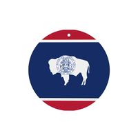 Ambientadores redondos para coche, diseño de bandera del estado de Wyoming, 6 unidades, tabletas de aromaterapia para coche, armario, zapatero, elimina olores
