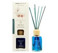 Ambientair - Home Perfumes Mikado Brisa de Océano Ambientadores 100 ml female