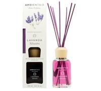 Ambientair - Home Perfumes Mikado Lavanda Silvestre Ambientadores 240 ml female