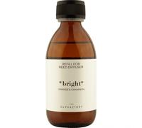Ambientair - Mikado The Olphactory *Bright* Orange & Cinnamon Ambientadores 250 ml female