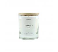 Ambientair - Vela Vaso 40 horas Santal The Olphactory Ambientadores 200 g female