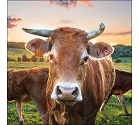 Ambiente - 13317525 - Servilletas de papel, 20 unidades, vaca, 33 cm x 33 cm, 3 capas