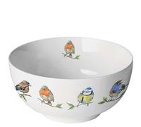 Ambiente Bol de porcelana de hueso, color blanco, 13,5 cm de diámetro, 0,4 L, apto para lavavajillas