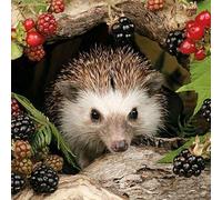 Ambiente - Servilletas - Hedgehog - Otoño/Erizos/Moras