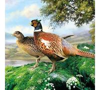 Pack de 20 servilletas de papel para manualidades - 3 capas, 33 x 33 cm - Pheasant