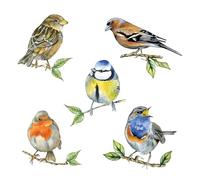 Ambiente - Servilletas de papel (20 unidades, 33 x 33 cm), diseño de pájaros