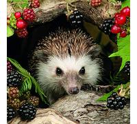Ambiente - Servilletas - Hedgehog - Otoño/Erizos/Moras