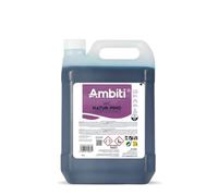 Ambiti | Natur Pino 5L | Aditivo para Depósito de Residuos Aguas Negras | Inodoros Portátiles de Autocaravanas, Caravanas y Barcos | Elimina Olores,residuos y Desinfecta | Fragancia a Pino