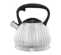AMBITION Hervidor de agua de acero inoxidable para inducción, 2,5 L, con silbato, mango ergonómico, todo tipo de fuegos