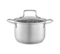 AMBITION Olla con tapa de cristal, 22 cm, Hugo Plus, 5,2 L, olla de acero inoxidable, apta para inducción, todos los tipos de cocina