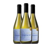 Ambre Insieme Turbiana Lugana 75 cl Vino blanco (Caja de 3 Botellas de 75 cl)