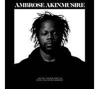 Ambrose Akinmusire On the Tender Spot of Every Calloused Moment (CD) Album