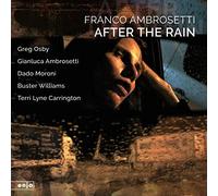 Ambrosetti Franco - After the Rain