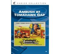 Ambush at Tomahawk Gap [USA] [DVD]