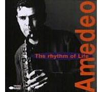 Amedeo - Rhythm of Life