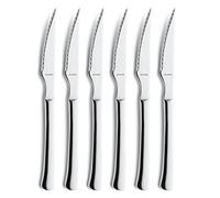 Amefa Chuletero - Juego de cuchillos para carne en tarjeta colgante