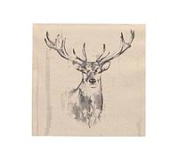 Ameisenkeks Servilletas de 3 capas, pliegue 1/4, 33 cm x 33 cm, diseño de ciervo, servilletas decorativas para cumpleaños, celebraciones, 20 unidades