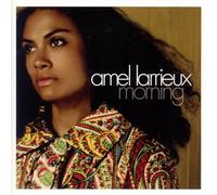Amel Larrieux - Morning (+Bonus)