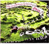 Amelie - Real Nature of The Fantastic Ice Cream Car