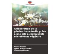 Amélioration de la génération actuelle grâce à une pile à combustible microbienne végétale