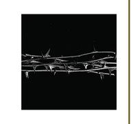 Amenra - De Doorn [Vinilo]