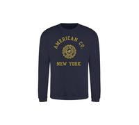 AMERICAN COLLEGE USA Sudadera Suéter con Capucha Niños Niño Niña Sweatshirt, Blue, 12 años Unisex Kids