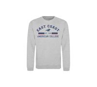 AMERICAN COLLEGE USA Sudadera Suéter con Capucha Niños Niño Niña Sweatshirt, Grey, 12 años Unisex Kids