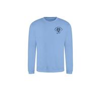 AMERICAN COLLEGE USA Sudaderas Jerseys Chalecos Hoodies Niño Niña Forro Polar Térmico con Capucha Ropa Niños Unisex Modelo ACSCRW6 Sky Blue 14 AÑOS