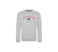 American College USA Sudaderas Jerseys Chalecos Hoodies Niño Niña Forro Polar Térmico con Capucha Ropa Niños Unisex Modelo ACSCRW3 MELL Grey 12 AÑOS